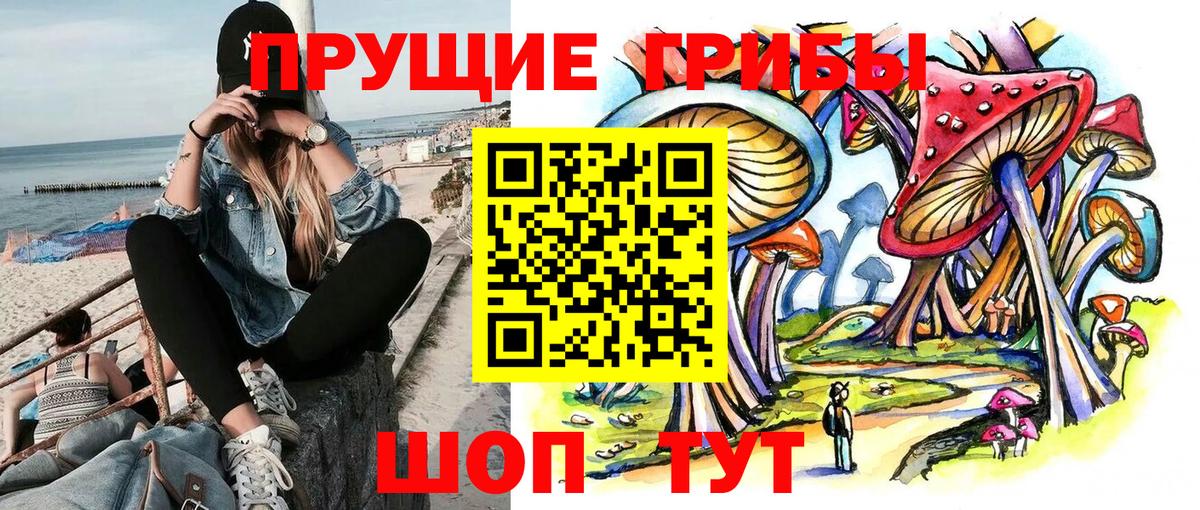 Псилоцибиновые грибы Magic Shrooms  Псилоцибиновые грибы мицелий  Вход с VPN  Горно-Алтайск 